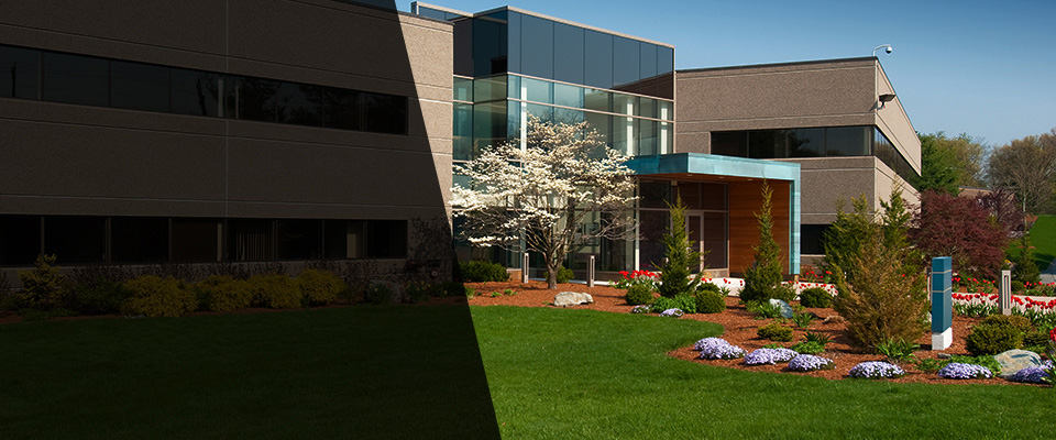 Elmwood Park Landscapers