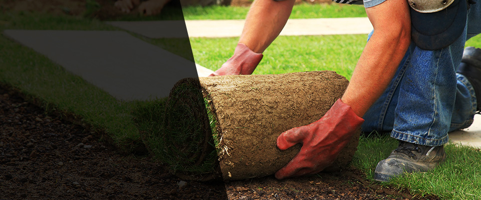 Elmwood Park Landscapers